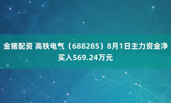 金猪配资 高铁电气（688285）8月1日主力资金净买入569.24万元