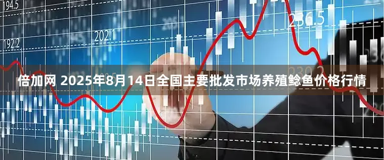 倍加网 2025年8月14日全国主要批发市场养殖鲶鱼价格行情