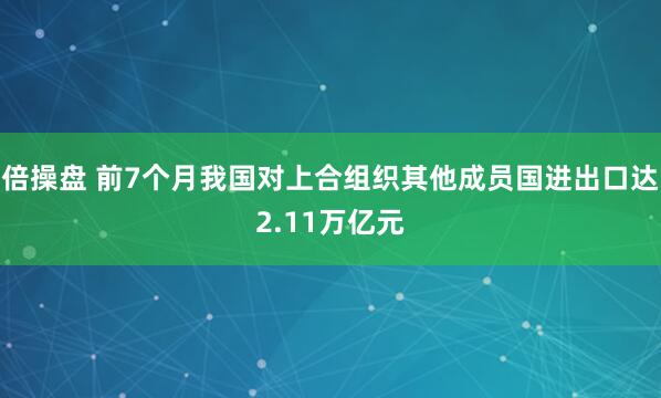 倍操盘 前7个月我国对上合组织其他成员国进出口达2.11万亿元
