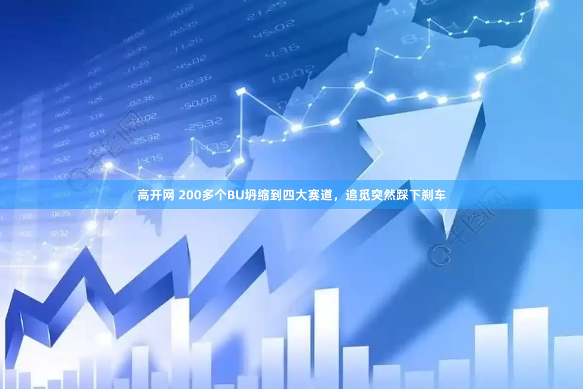 高开网 200多个BU坍缩到四大赛道，追觅突然踩下刹车